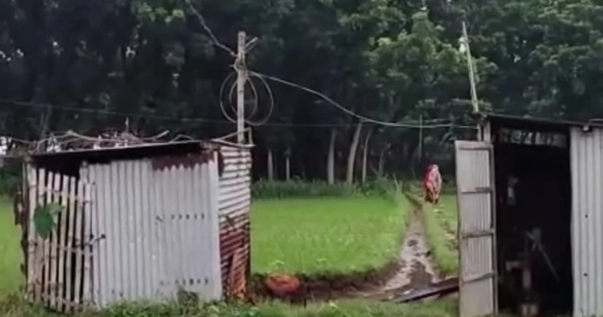 শাহজাদপুরে বিদ্যুৎপৃষ্ট হয়ে কৃষকের মর্মান্তিক মৃত্যু