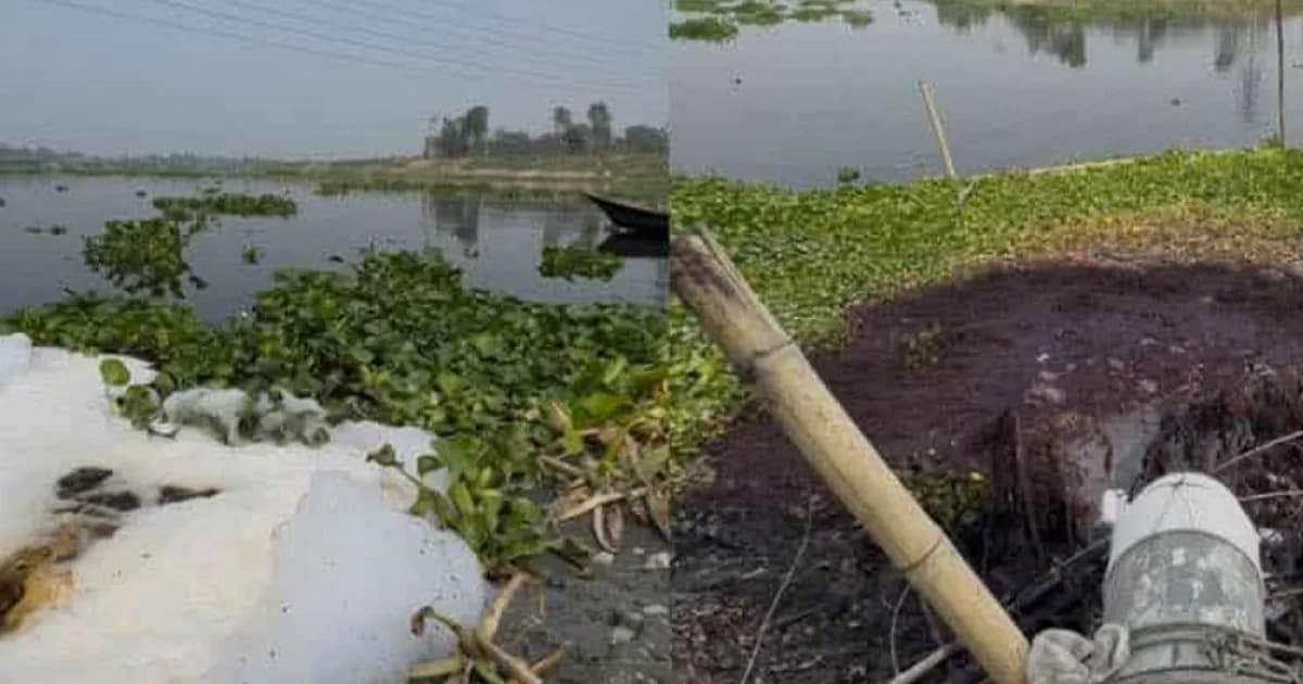 শাহজাদপুরে নদী দূষণের খবর জানেনা পরিবেশ অধিদপ্তর!