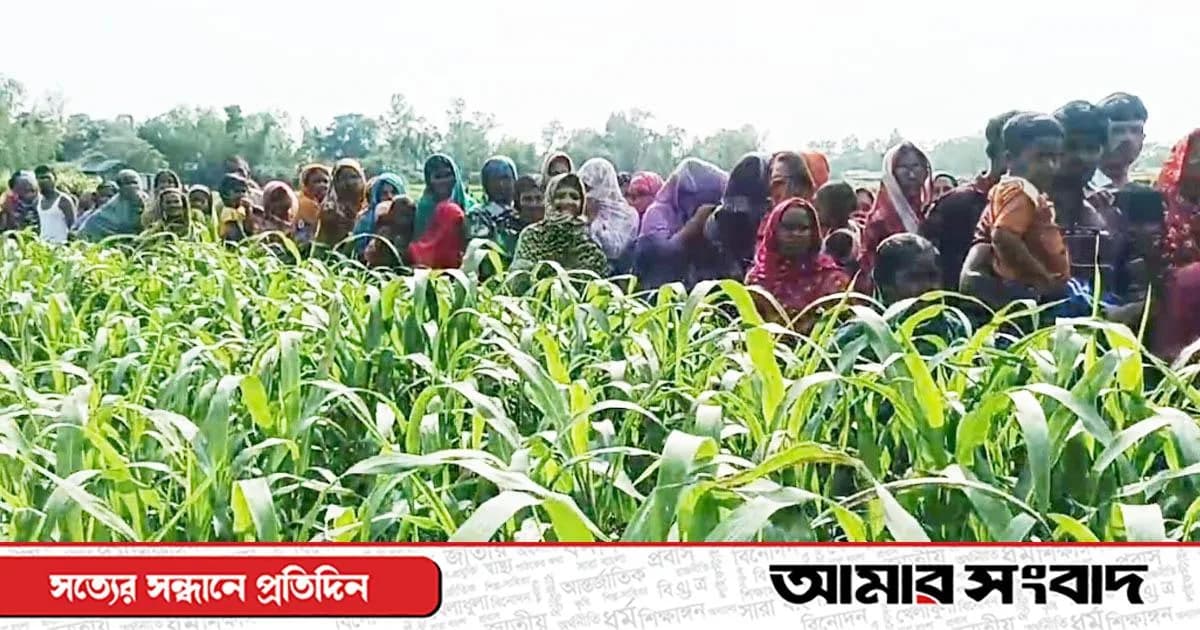 শাহজাদপুরে ঘাসের খেত থেকে অজ্ঞাত কিশোরের গলাকাটা লাশ উদ্ধার