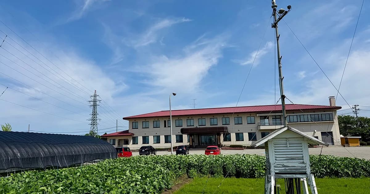 ভবিষ্যতের চাল শুধু মাঠে নয়, তৈরি হচ্ছে জাপানের গবেষণাগারে, উদাহরণ হবে বাংলাদেশের জন্য