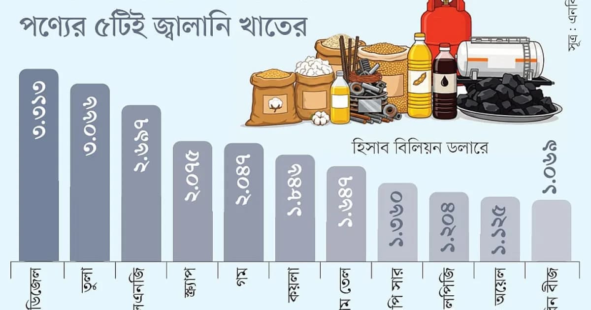 বিলিয়ন ডলারের আমদানি পণ্যের ৫টিই জ্বালানি