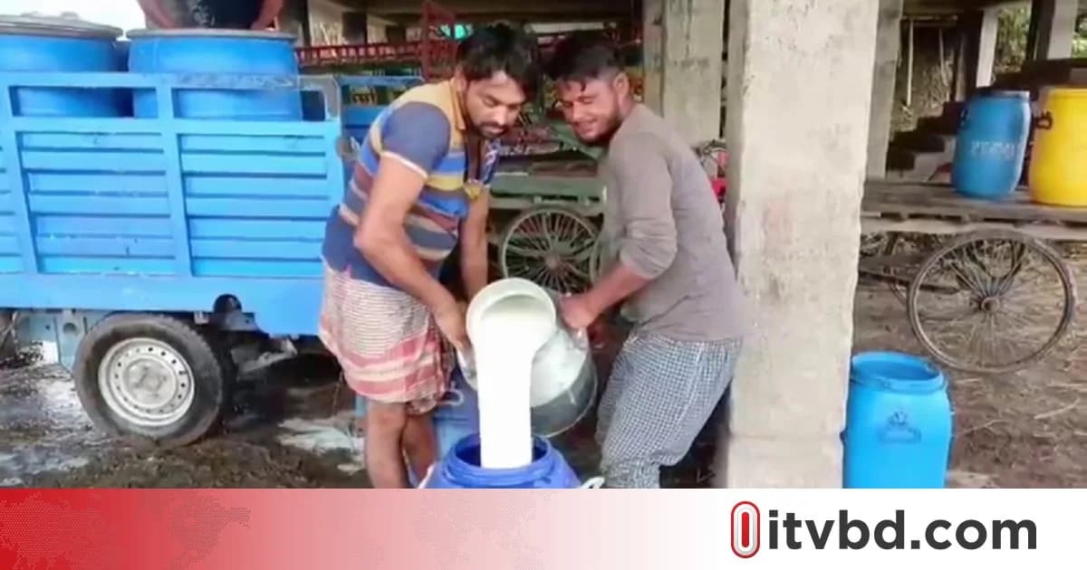 দাম বাড়ানোর দাবিতে মিল্কভিটায় দুধ দেওয়া বন্ধ রেখেছেন সিরাজগঞ্জের খামারিরা