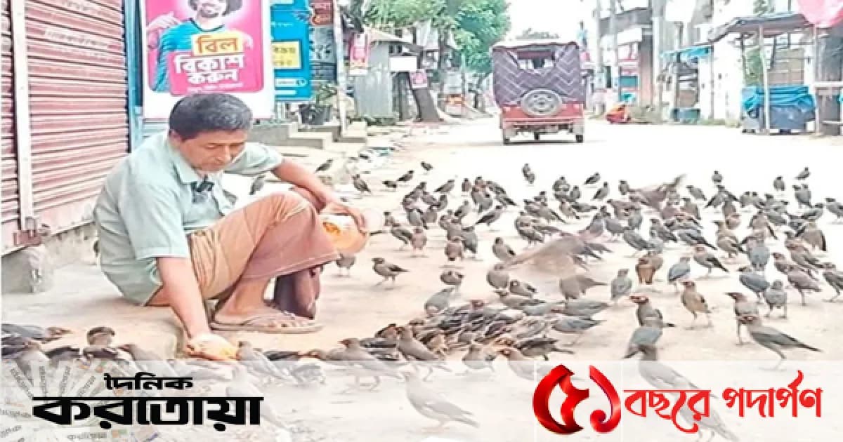 সিরাজগঞ্জে ১০ বছর পাখিদের খাওয়াচ্ছেন ব্যবসায়ী বুদ্ধ