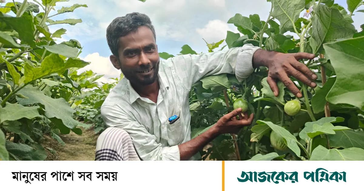 একই জমিতে বেগুন-লাউ চাষে লিটনের বাজিমাত