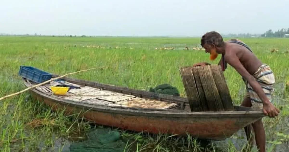 উল্লাপাড়ায় বন্যার পানির দেখা না মেলায় দেশী মাছের বংশ বিস্তার বাঁধা গ্রস্থ
