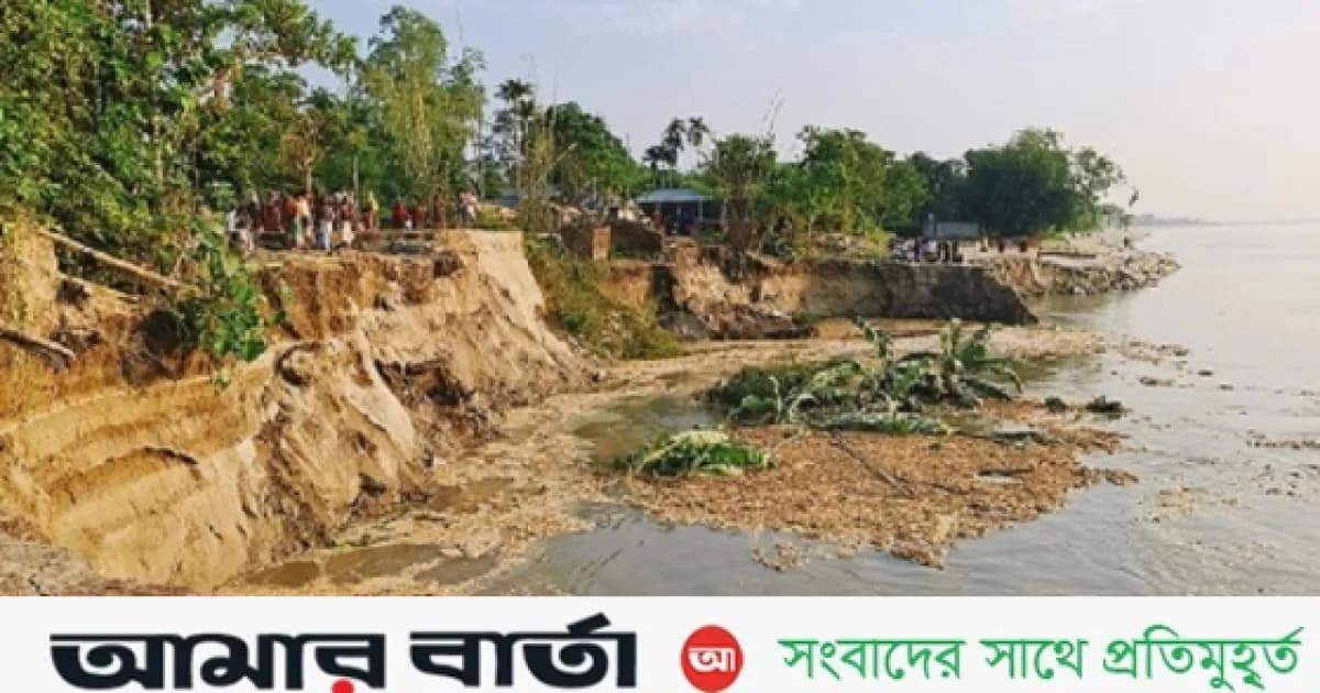 যমুনা নদীর তীব্র ভাঙনে দিশেহারা হয়ে পড়েছেন স্থানীয় বাসিন্দারা