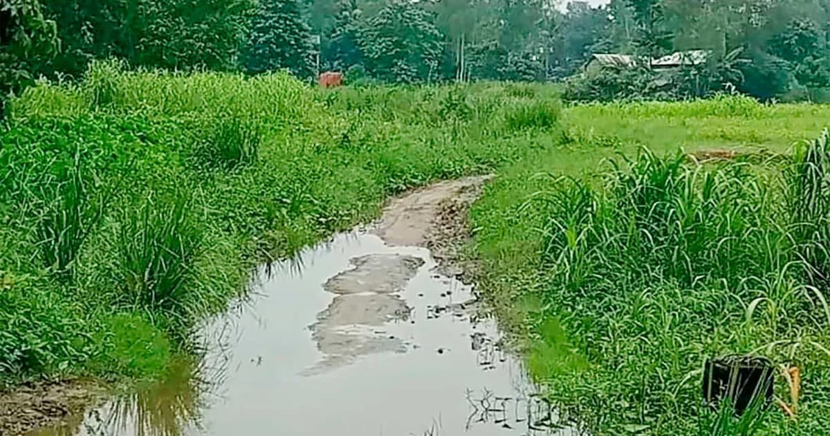 শাহজাদপুরের চির অবহেলিত গ্রাম গাছ বায়ড়া