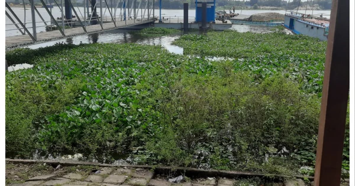 বাঘাবাড়ী নৌবন্দর ঐতিহ্য হারিয়ে প্রায় জাহাজ শূন্য