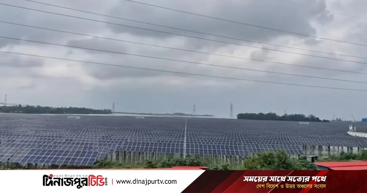 সিরাজগঞ্জের সৌরবিদ্যুৎ কেন্দ্রে কৃষিকাজ ও বিদ্যুৎ উৎপাদন