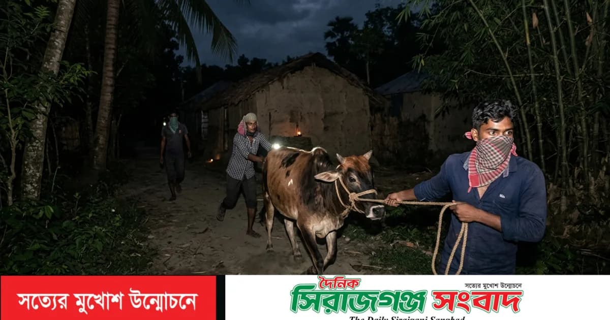 তাড়াশে গোয়ালঘরের তালা ভেঙে কৃষকের ৮ গরু চুরি