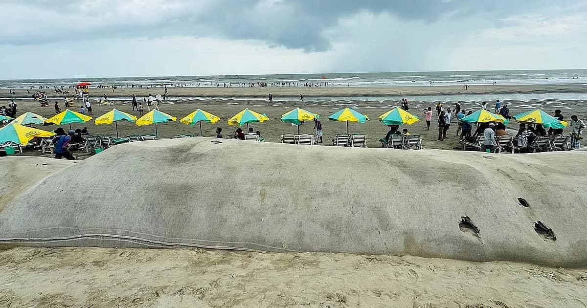 কক্সবাজার সৈকতের ভাঙন কেন তীব্র হচ্ছে