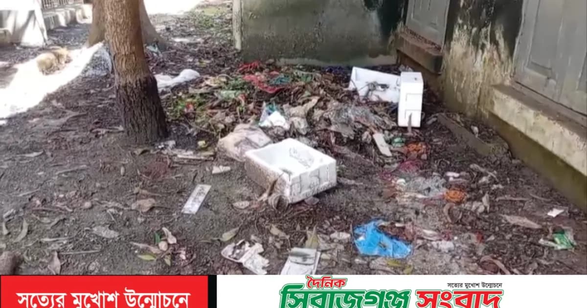 ঘাটাইল উপজেলা প্রশাসনের নাকের ডগায় ডেঙ্গুর ঝুঁকি, ময়লা-আবর্জনার স্তূপে দুর্ভোগ