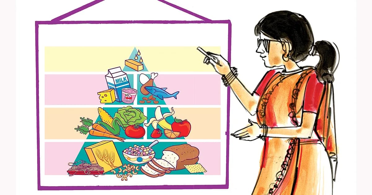 সুষম খাদ্য দেহের বৃদ্ধি ও ক্ষয় পূরণ করে—প্রাথমিক বৃত্তি পরীক্ষা ২০২৬