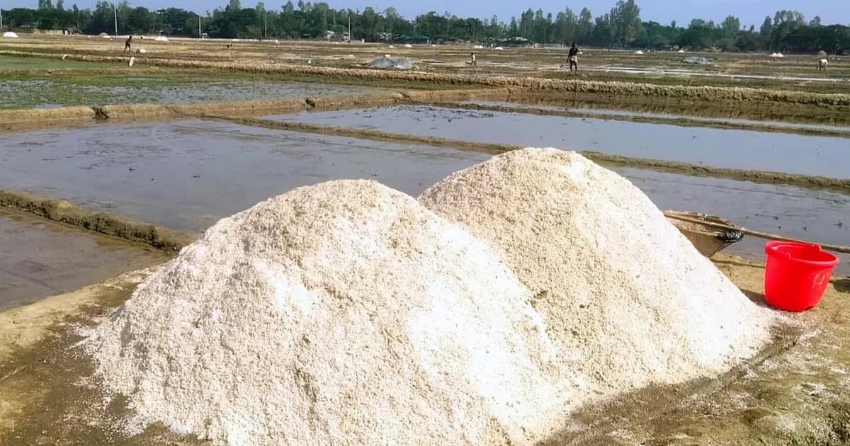 লবণের মৌসুম শুরুর ঠিক আগে আমদানির অনুমতি, ক্ষুব্ধ চাষিরা
