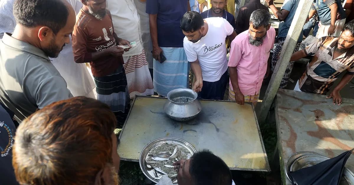 ভোরে তাজা মাছ নিয়ে বসে হাট