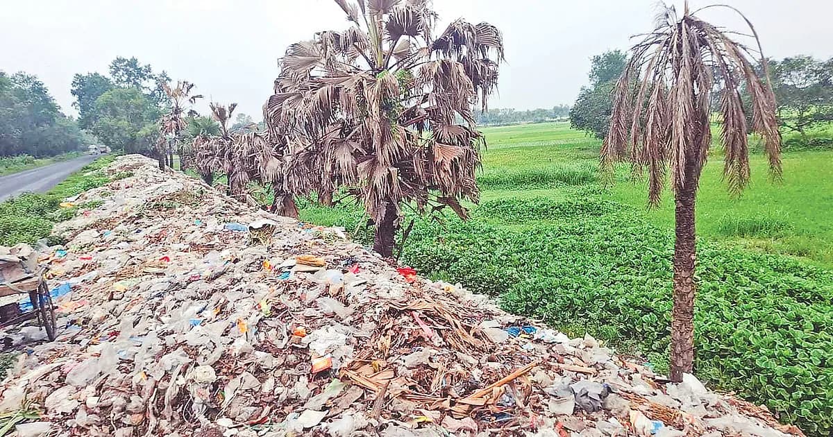 ২৩ পৌরসভার একটিরও ভাগাড় নেই, বর্জ্য ফেলা হয় যেখানে–সেখানে