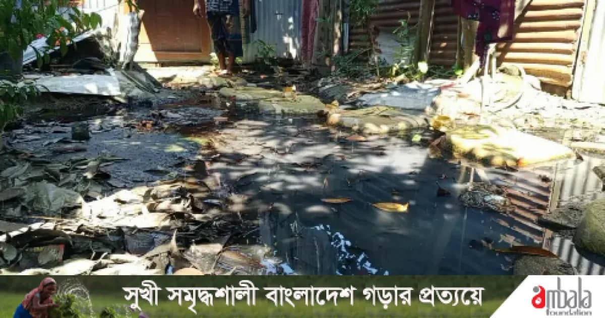 সিরাজগঞ্জে ডাইং কারখানার বর্জ্যে ২৭ মাস ধরে জলাবদ্ধতা