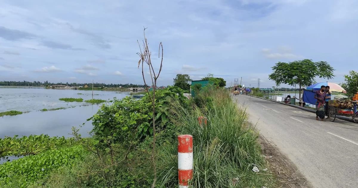 ৫০ টাকার গাছ ৪০০ টাকায় কিনে বৃক্ষরোপণ কর্মসূচি, এক মাসেই যাচ্ছে মরে