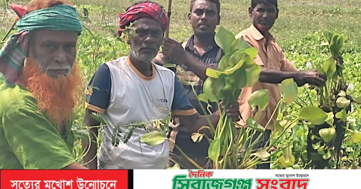 সিংড়ায় ৩০০ একর জমিতে বোরো চাষ অনিশ্চিত,দুশ্চিন্তায় কৃষক