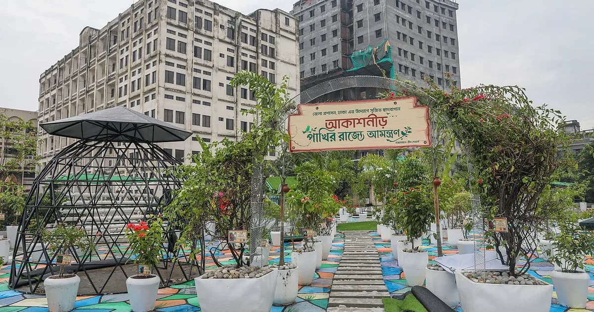 পুরান ঢাকার সরকারি এই ভবনের ছাদে পাখিদের জন্য ‘আকাশনীড়’