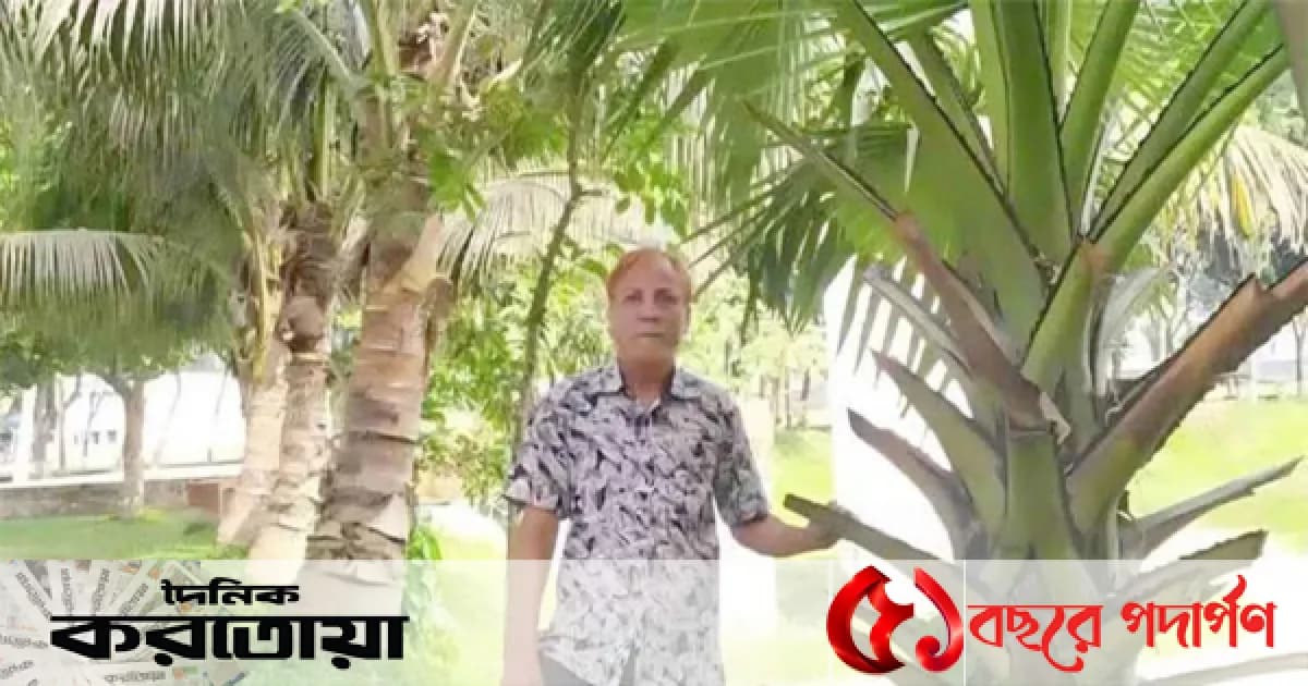 সিরাজগঞ্জে বজ্রপাত রোধে ২৪ বছর ধরে তালবীজ রোপণ করছেন আবুল কালাম আজাদ