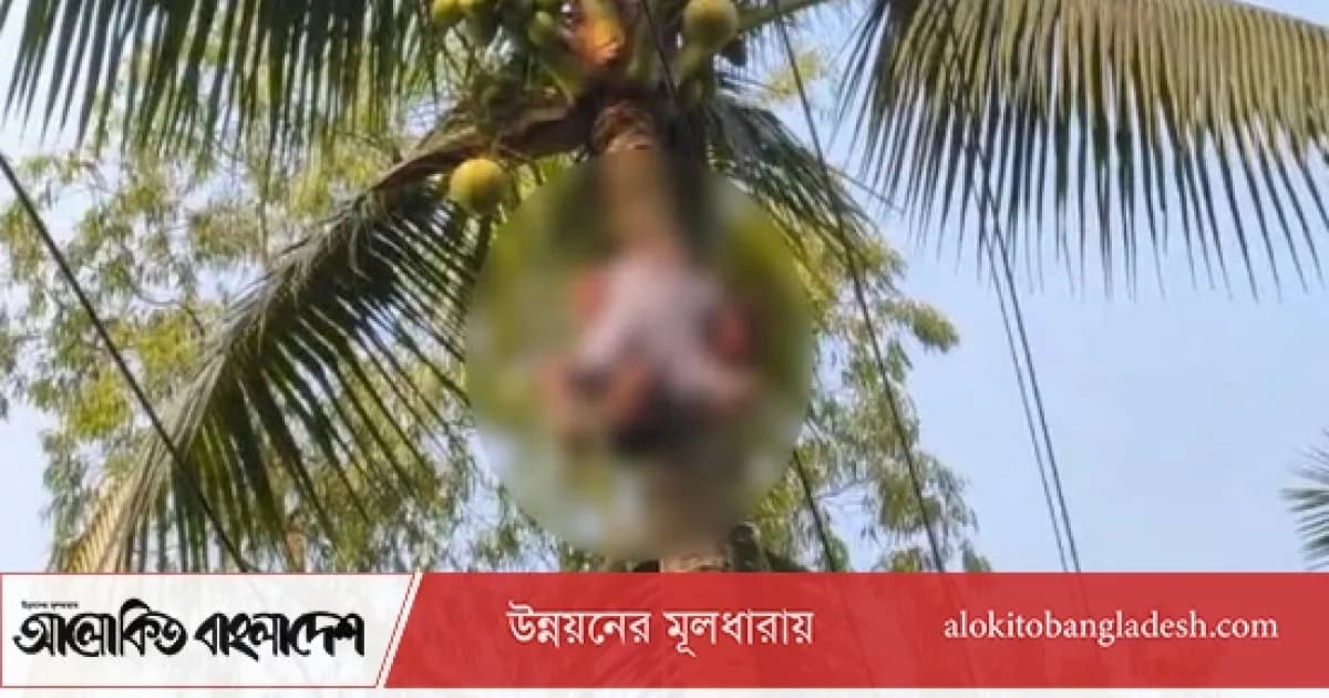 রায়গঞ্জে গাছ পরিষ্কার করতে গিয়ে প্রাণ গেল যুবকের