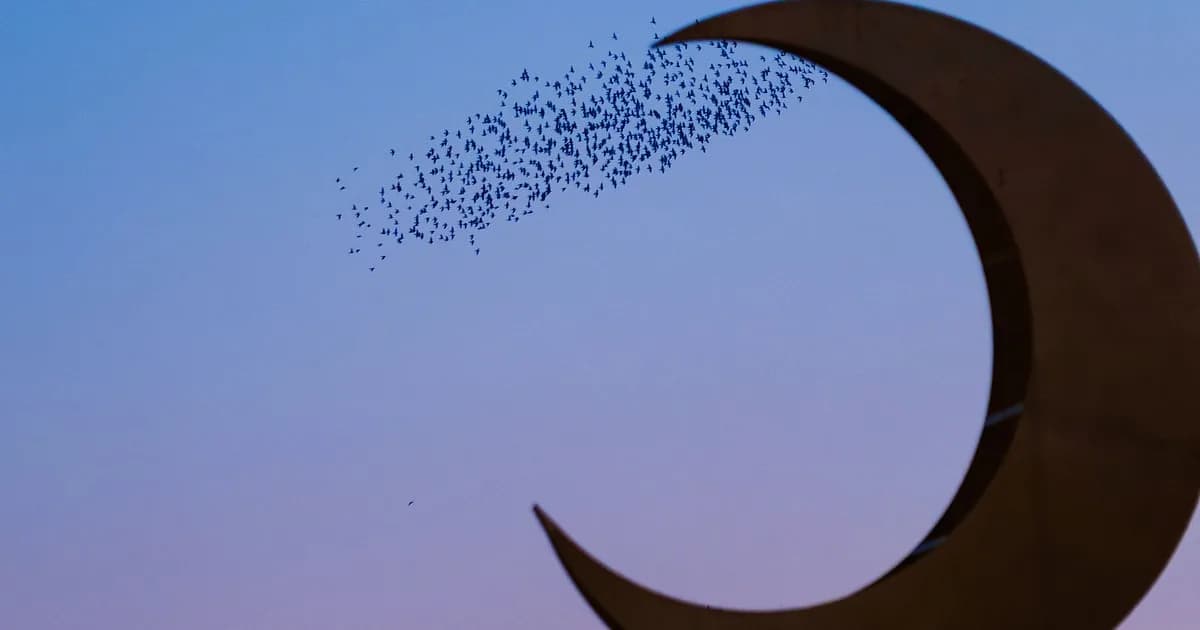 ‘আল-আবওয়া’: নবীজির মা যেখানে মারা যান