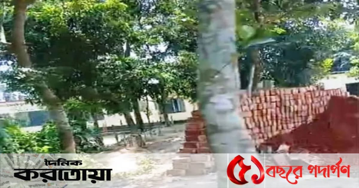 সিরাজগঞ্জের তাড়াশে সরকারি গাছ কেটে বিক্রি ও বিদ্যালয়ের প্রবেশ পথের সামনে বহুতল ভবন নির্মাণের অভিযোগ