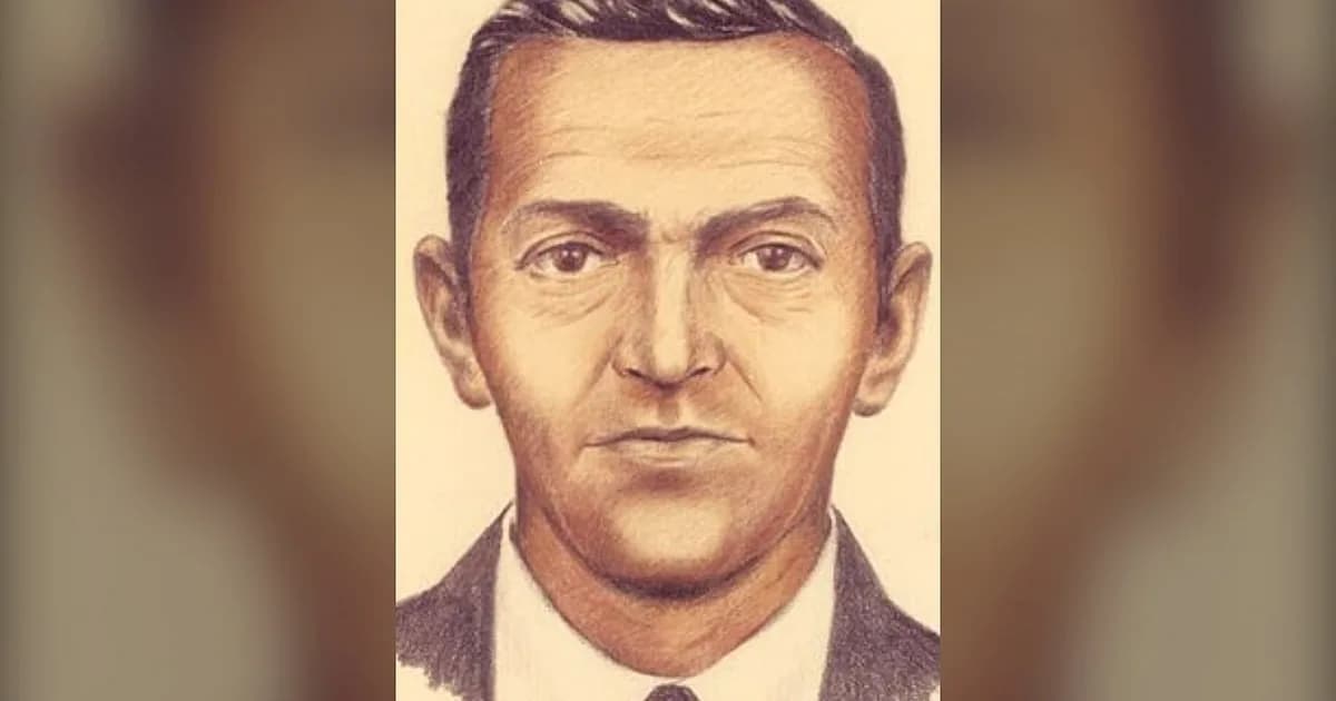আকাশে উড়োজাহাজের দরজা দিয়ে লাফিয়ে অদৃশ্য ছিনতাইকারী