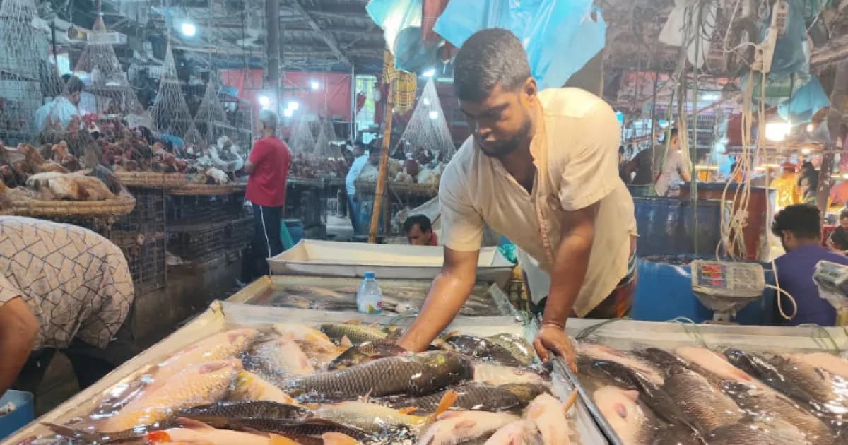 ‘আমাদের নীরব কান্না দেখার মতো কেউ নেই’