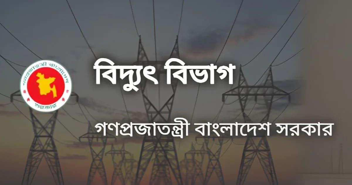 ভর্তুকিতে বিদ্যুৎ কোম্পানিগুলো: তারপরও কর্মীদের ‘প্রফিট বোনাস’ দেওয়া নিয়ে প্রশ্ন
