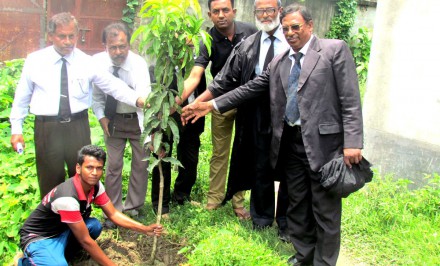 শাহজাদপুরে কোর্ট ভবন চত্বরে ফলবান বৃক্ষ রোপন করলেন সিনিয়র সহকারী জজ