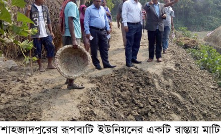 শাহজাদপুরে ৪কোটি ১৭লাখ টাকা ব্যয়ে ৪৭টি গ্রামীণ অবকাঠামর উন্নয়ন কাজ চলছেঃ কাজ পেয়ে ৫২১০জন স্বাবলম্বী