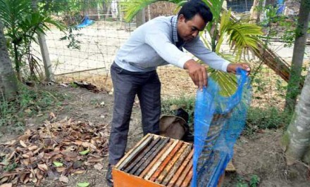 মৌচাষ -শেষ পর্ব : মৌমাছি সংরক্ষণে উদ্যোগী না হলে ভবিষ্যতে খাদ্য সংকটে পড়বে বাংলাদেশ!