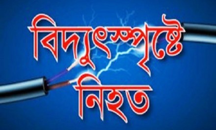 শাহজাদপুরে বিদ্যুৎ স্পৃষ্টে নিহত ১, আহত ১৫