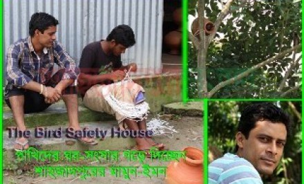 পাখিদের ঘর-সংসার গড়ে দিচ্ছেন শাহজাদপুরের মামুন-ইমন